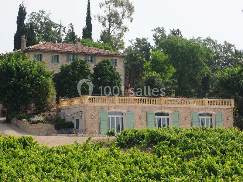 Maison en pierre entourée de vignes, avec volets verts, terrasse et arbres en arrière-plan.