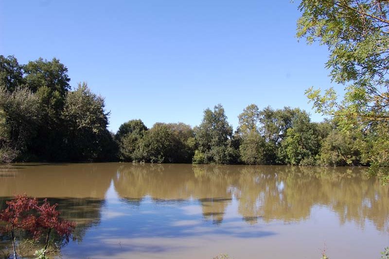 Domaine de l'Etang - photo 3