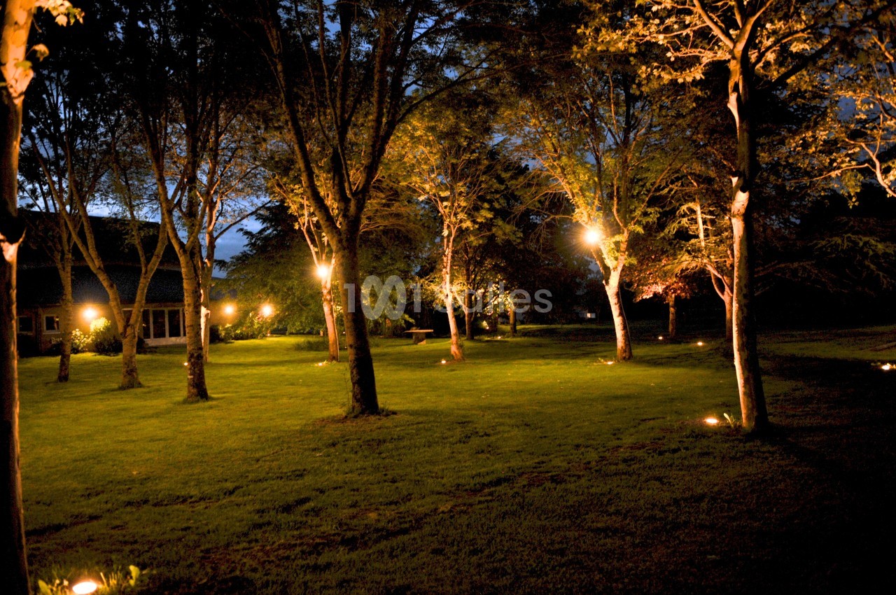 Pelouse éclairée par des lampadaires entourée d'arbres au crépuscule.