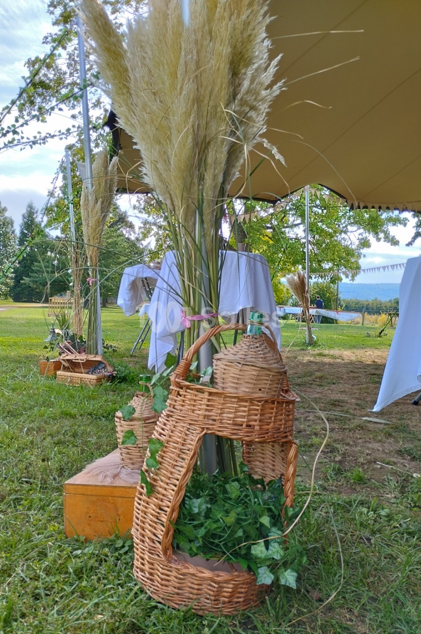 Décoration champêtre avec panier en osier, plantes vertes et herbes de la pampa sous une tente en plein air.