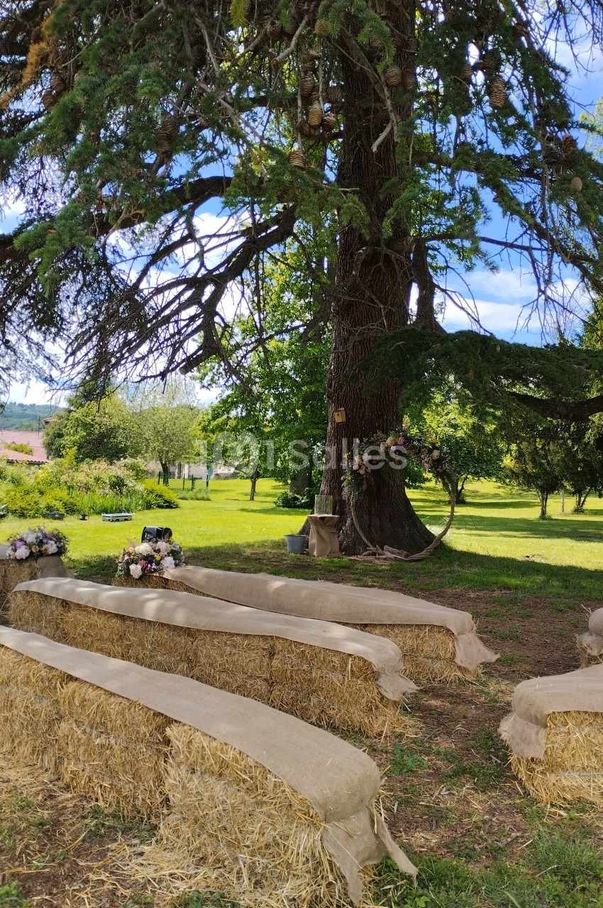 Bottes de paille recouvertes de tissu disposées en rangs sous un grand arbre pour une cérémonie en plein air.