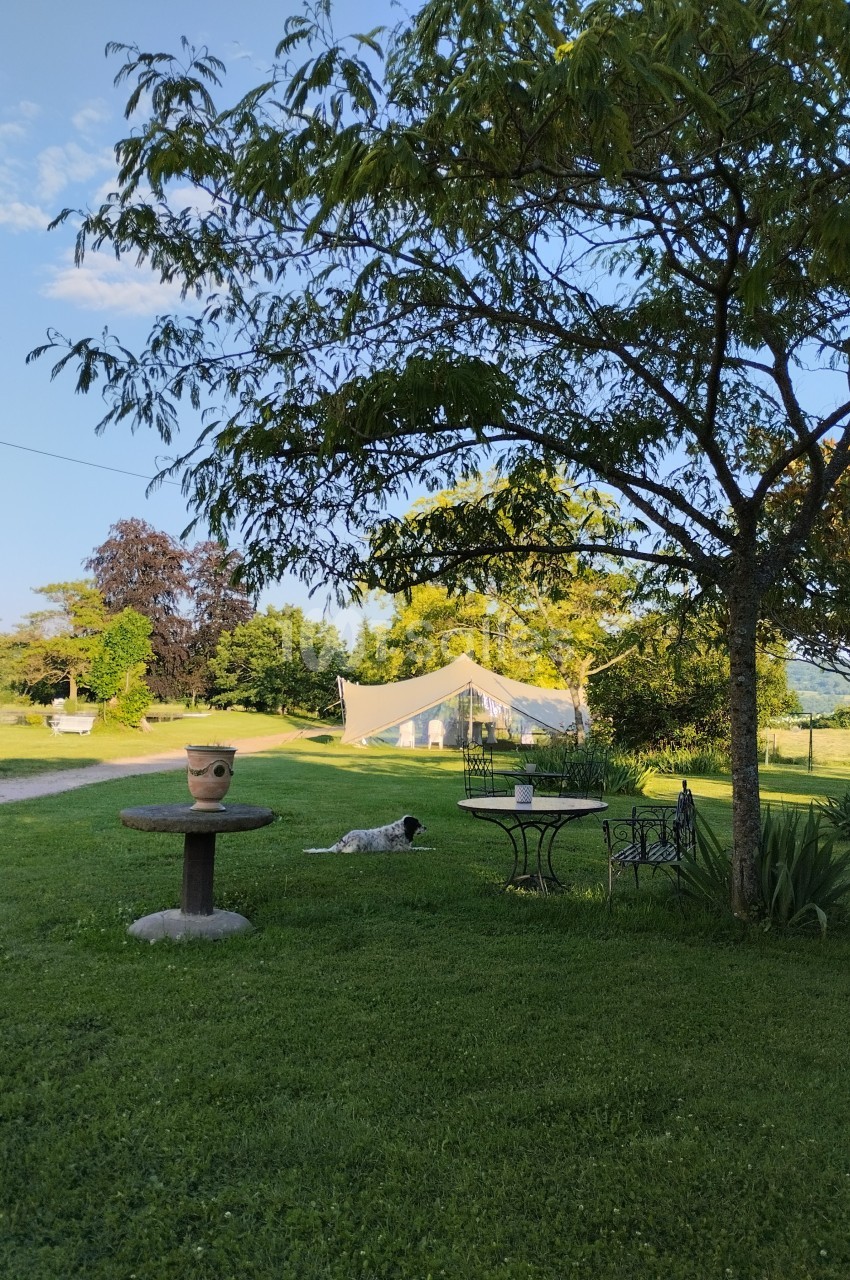 Un jardin verdoyant avec une table, un arbre, un chien allongé sur l'herbe et une tente en arrière-plan.