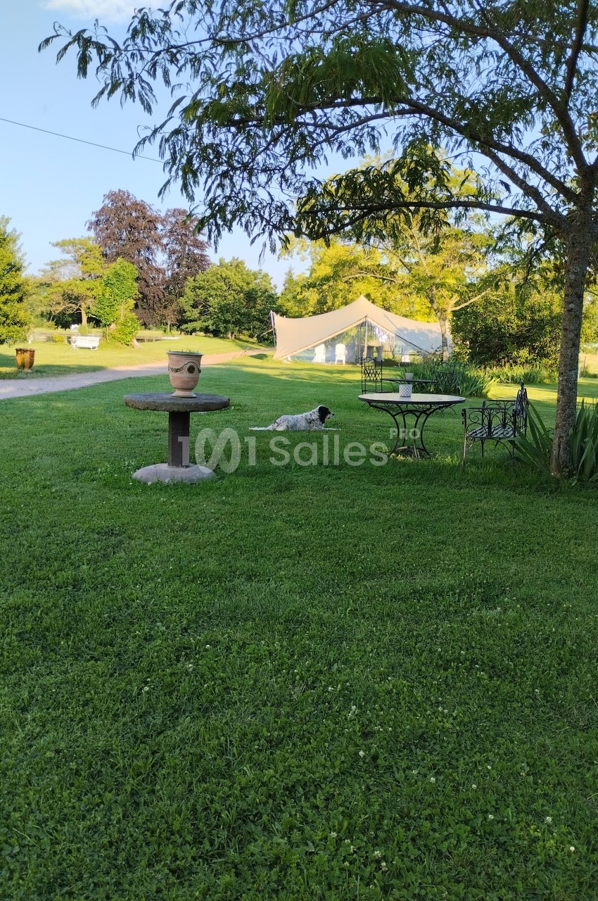 Chien allongé sur une pelouse verdoyante près d'une table en fer forgé, avec des arbres et une tente en arrière-plan.
