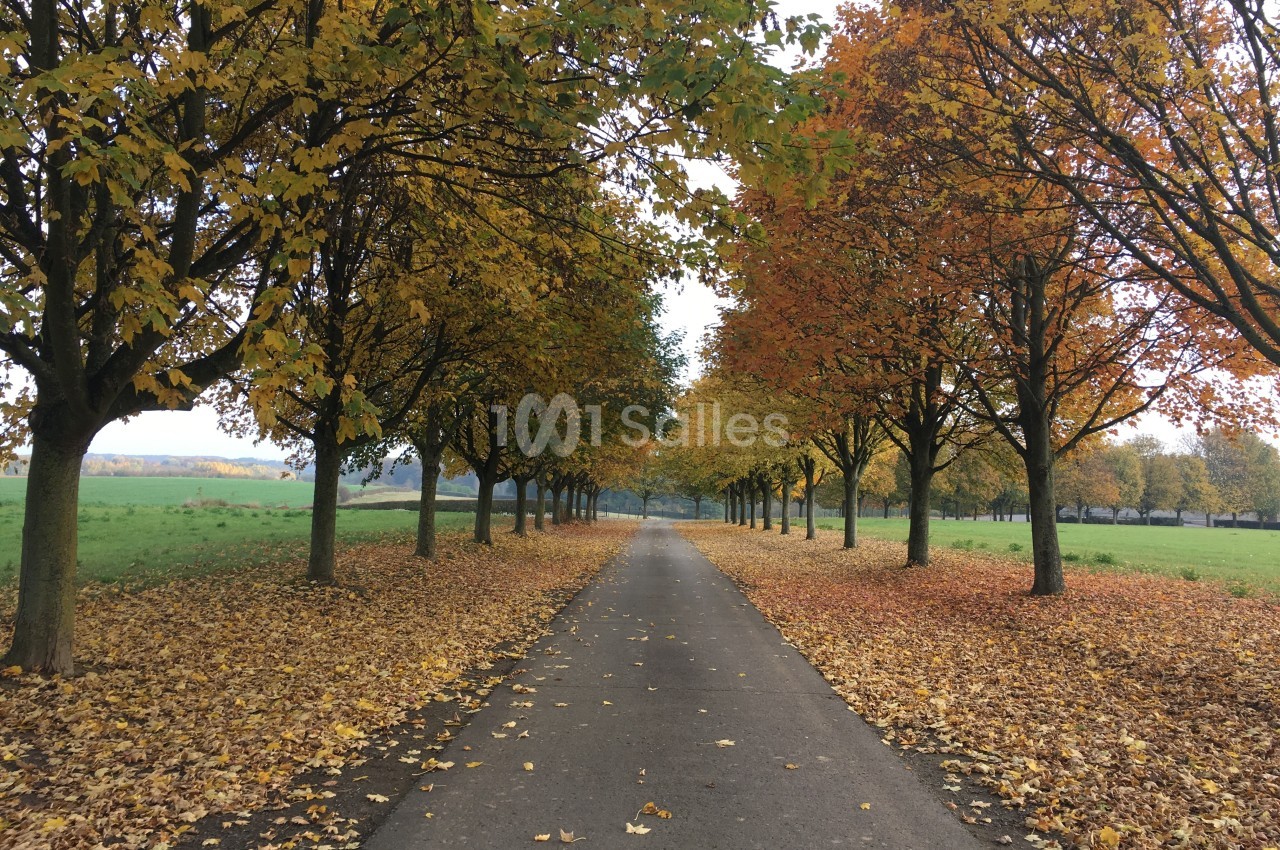 L'allée d'érables en automne