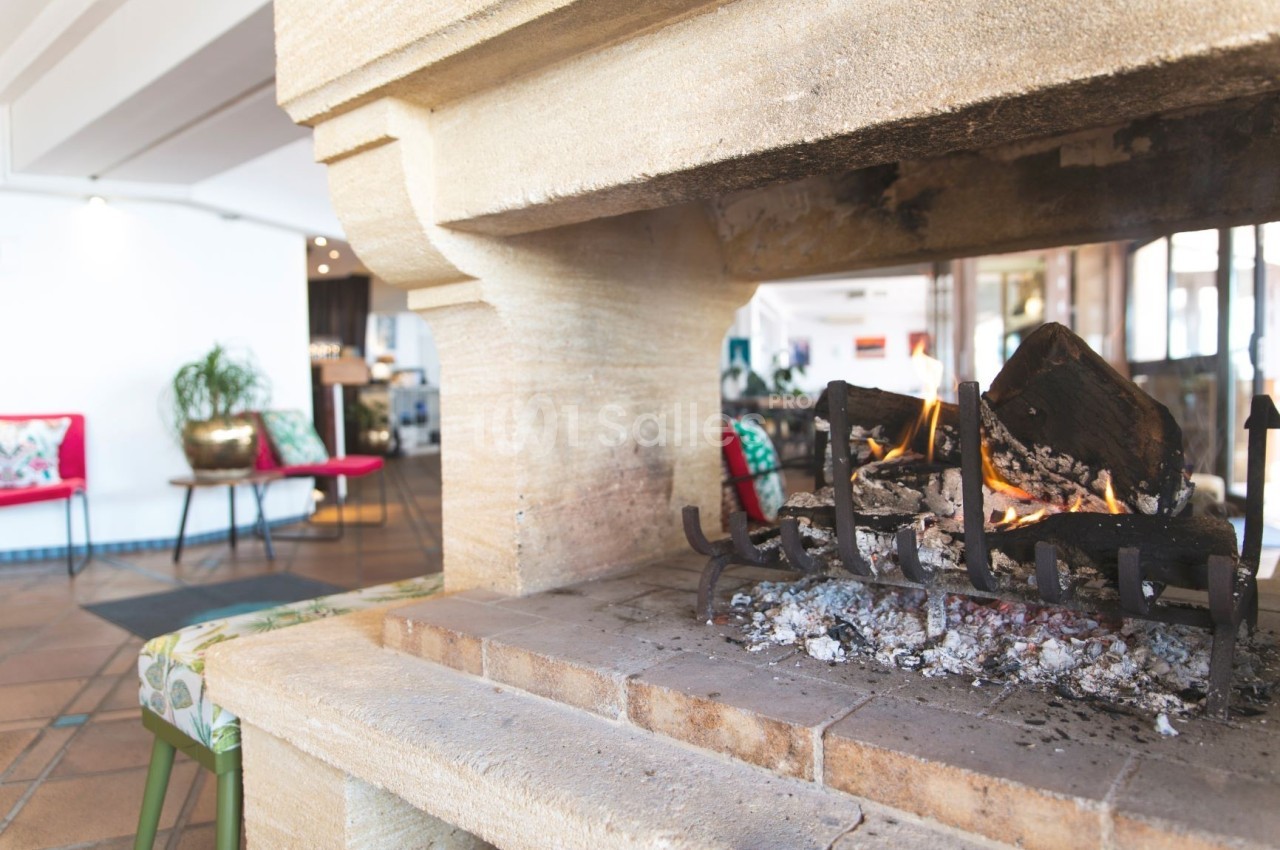 Cheminée en pierre avec un feu de bois allumé dans un intérieur lumineux et décoré de plantes et de fauteuils colorés.