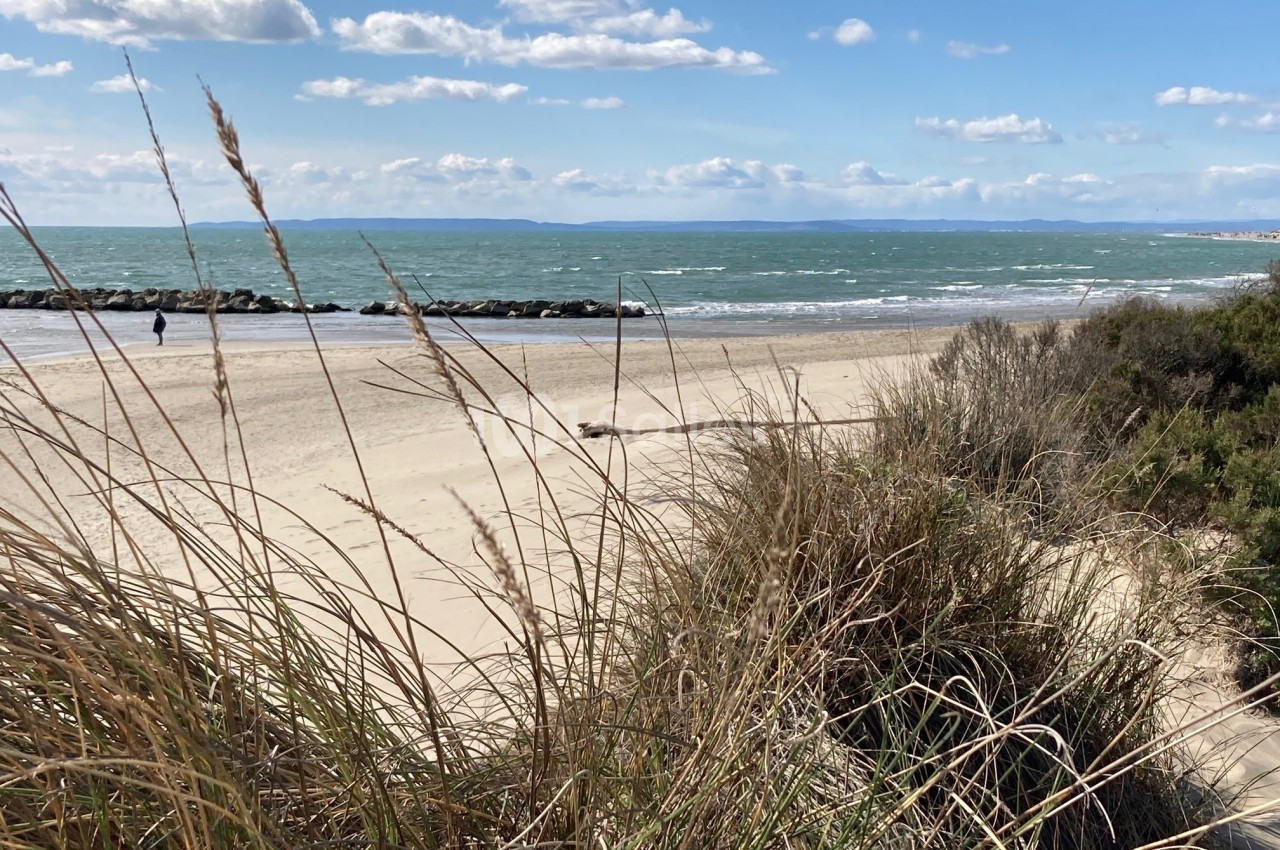 Plage de sable bordée de végétation, avec vue sur la mer et un ciel partiellement nuageux.
