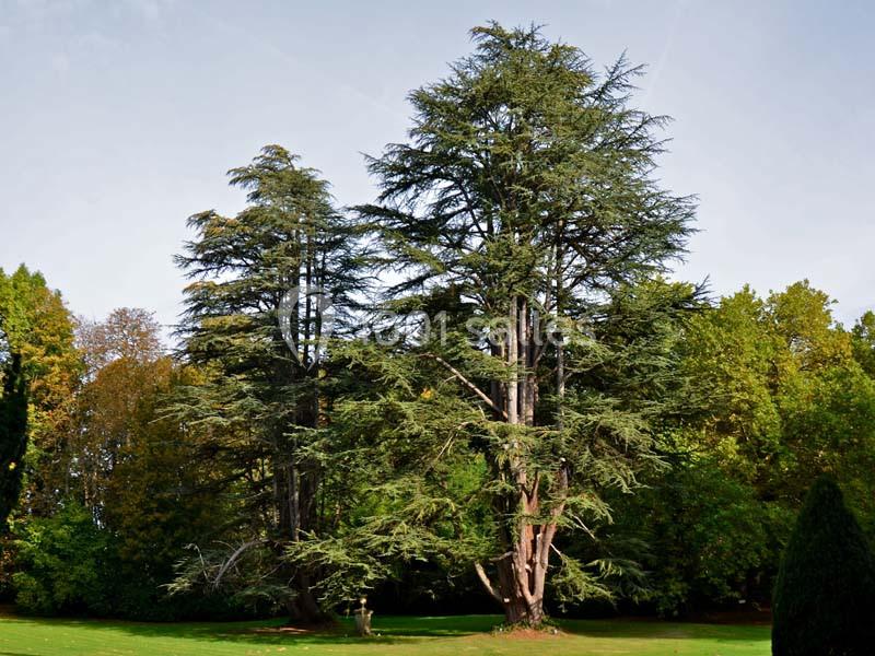 Château de Walmath - galerie - photo 10