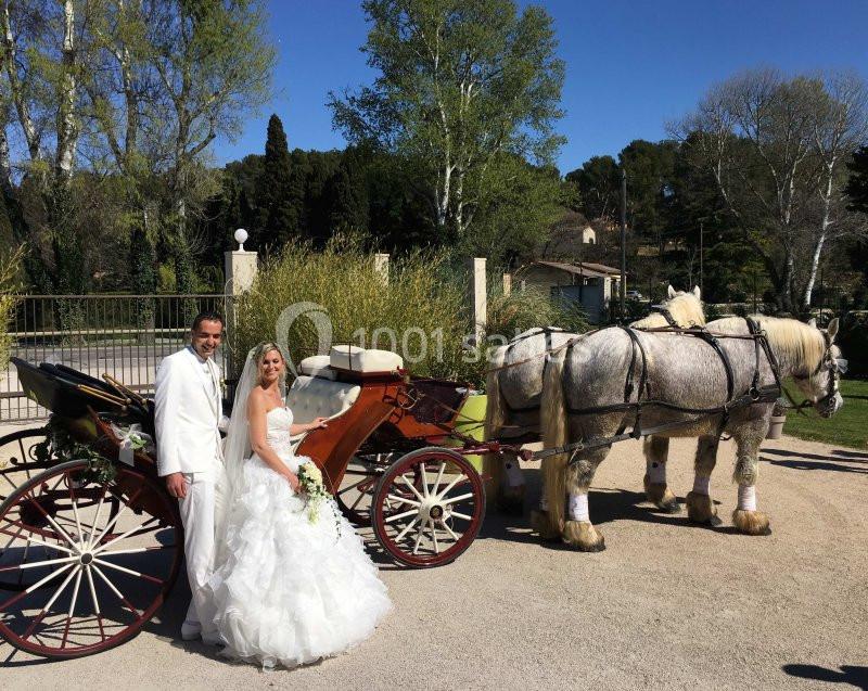 Un couple en tenue de mariage pose devant une calèche tirée par deux chevaux dans un cadre champêtre.