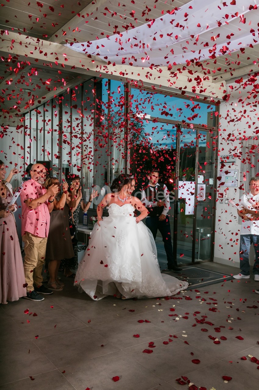 Une mariée en robe blanche sort d'un bâtiment sous une pluie de pétales rouges, entourée d'invités applaudissant.