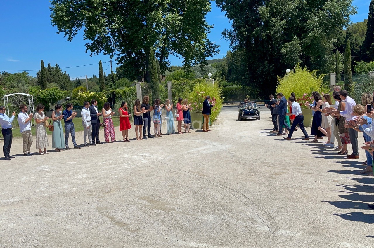 Des invités alignés en extérieur applaudissent l'arrivée d'une voiture ancienne dans un cadre verdoyant et ensoleillé.