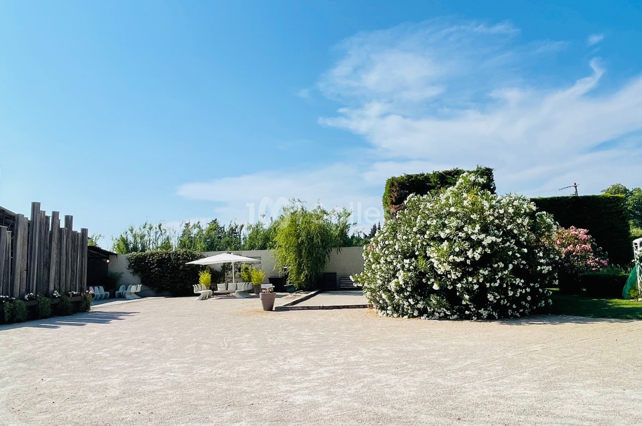 Cour extérieure avec terrasse ombragée, grands arbustes fleuris et ciel dégagé en arrière-plan.
