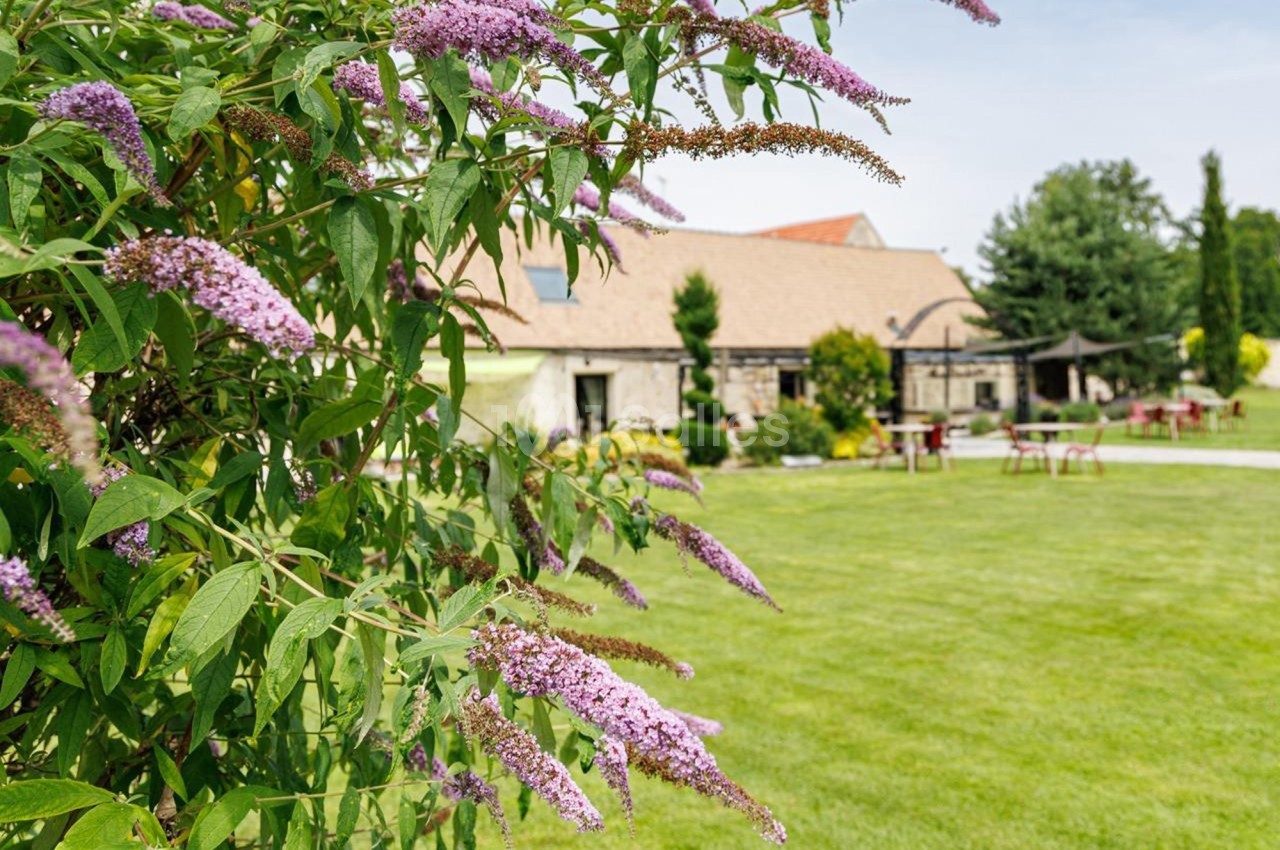 Arbuste à fleurs violettes au premier plan, avec jardin verdoyant et bâtiment en pierre en arrière-plan.