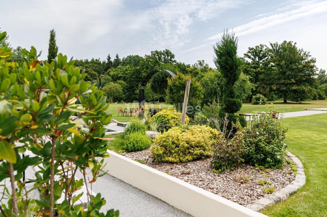Jardin paysager avec arbustes, pelouse et mobilier de jardin sous une arche métallique, par temps clair.