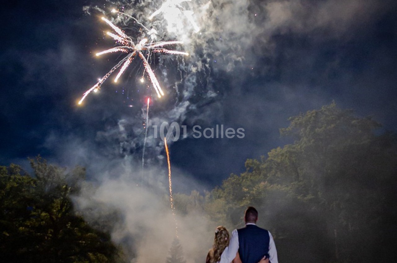 Un couple regarde un feu d'artifice illuminant le ciel nocturne au-dessus d'une zone boisée.