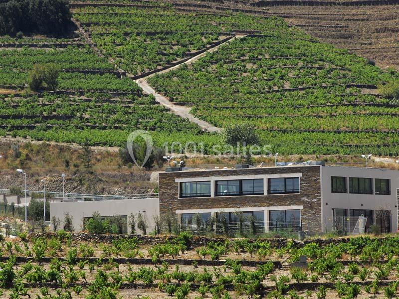 Les Terrasses De Collioure - galerie - photo 12