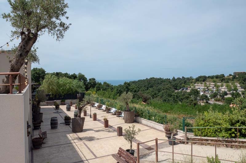 Les Terrasses De Collioure - photo 2