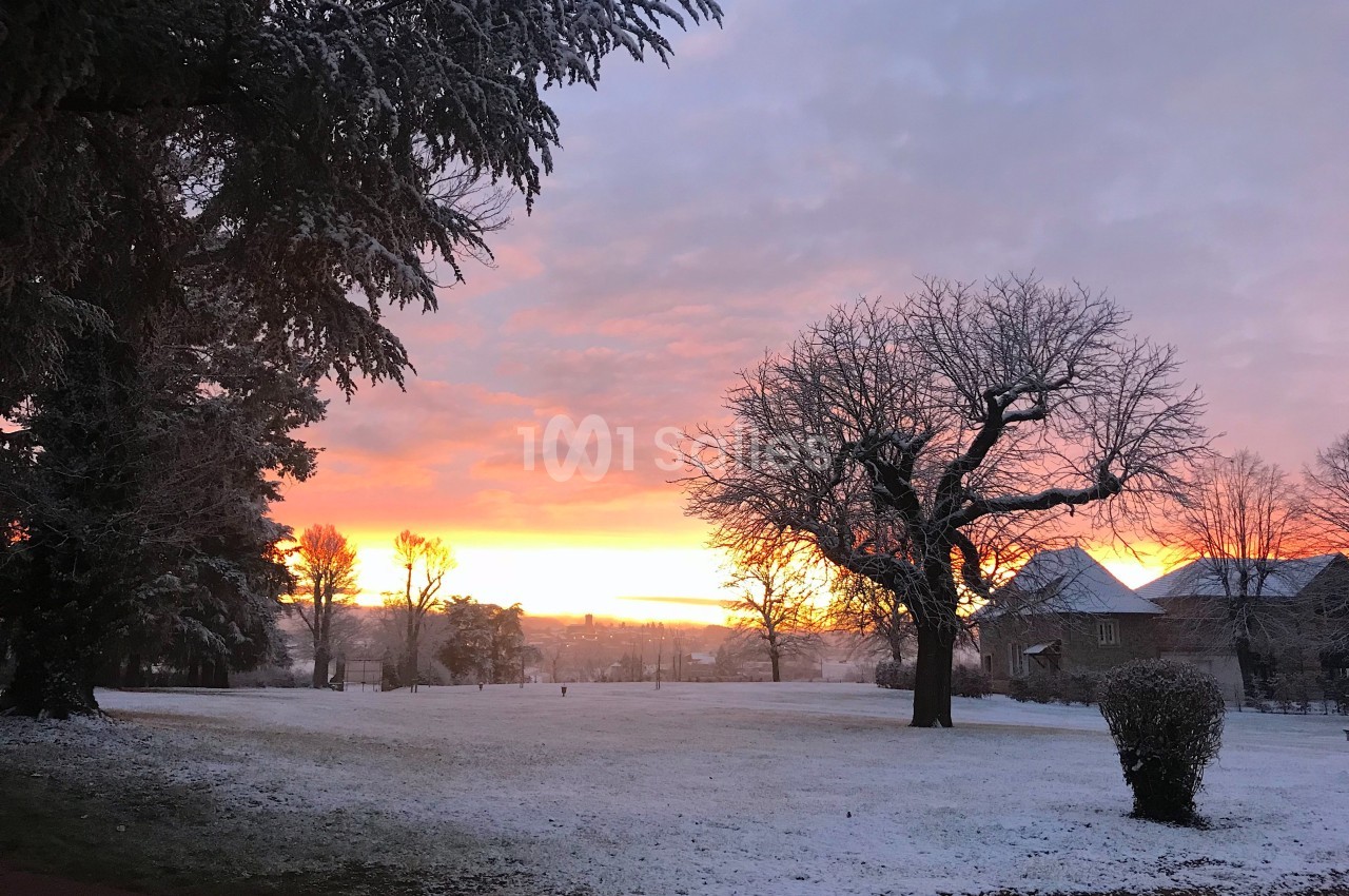 Paysage hivernal avec un coucher de soleil coloré, des arbres dénudés et un sol légèrement recouvert de neige.