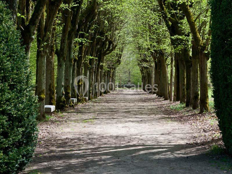 Domaine De Frémigny - galerie - photo 22