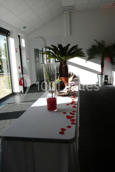 Table décorée avec un vase, des pétales rouges et des plantes en pot dans une salle lumineuse.