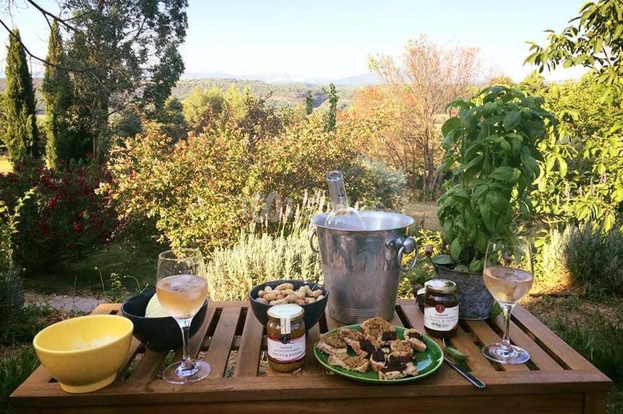 Table en bois avec apéritifs, vin rosé, seau à glace et vue sur un jardin verdoyant sous un ciel dégagé.