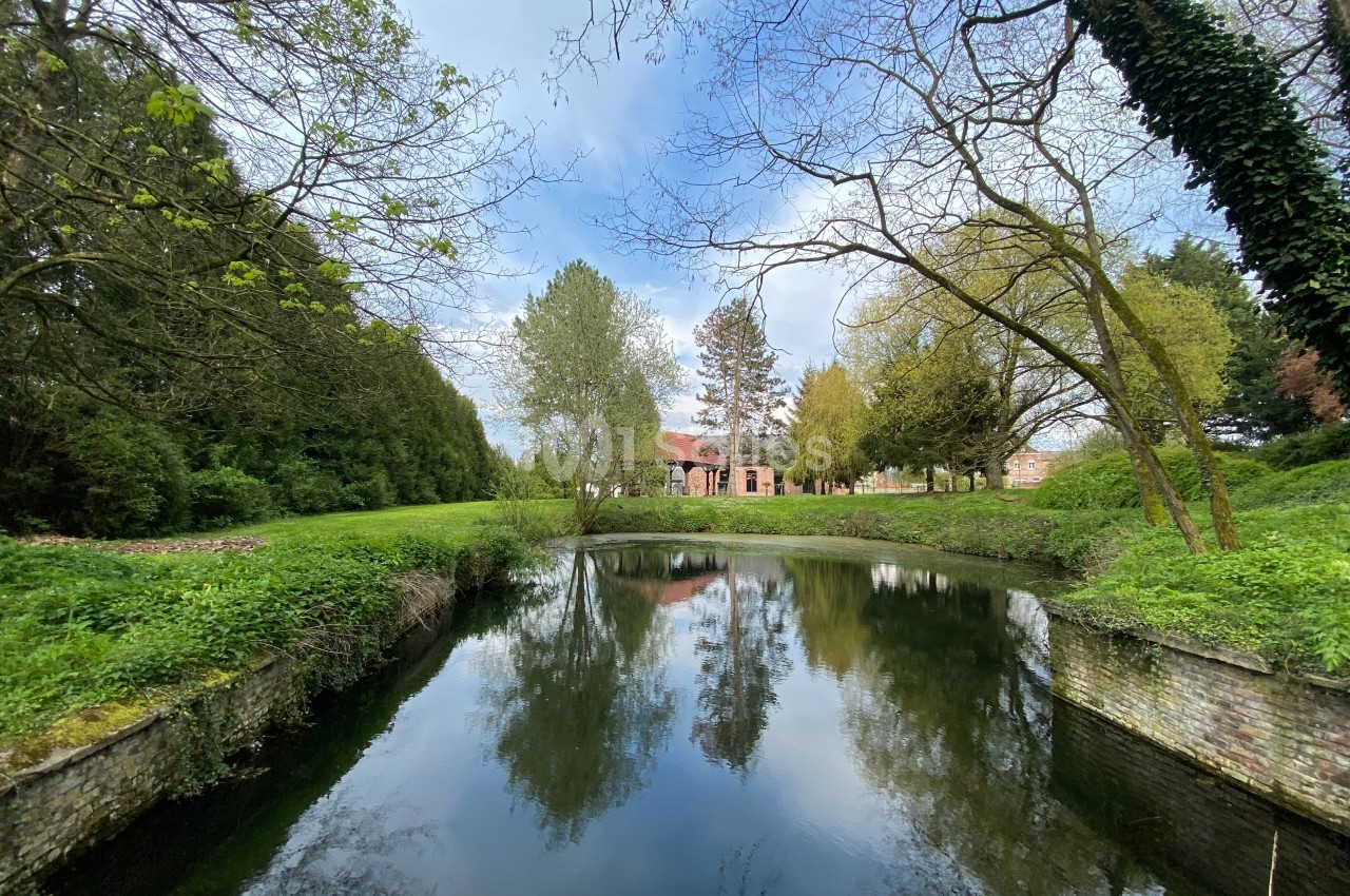 Étang entouré de verdure et d'arbres, avec un bâtiment en briques rouges visible en arrière-plan sous un ciel bleu.