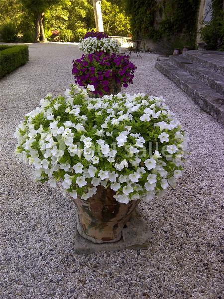 Château De Valfons - galerie - photo 14