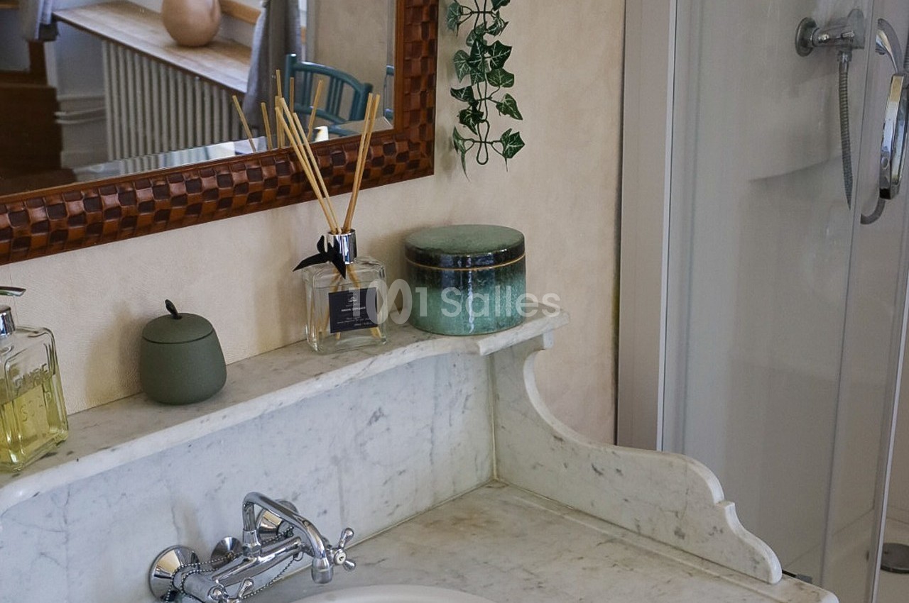 Lavabo en marbre avec accessoires de toilette, miroir encadré en bois, plante suspendue et cabine de douche à droite.
