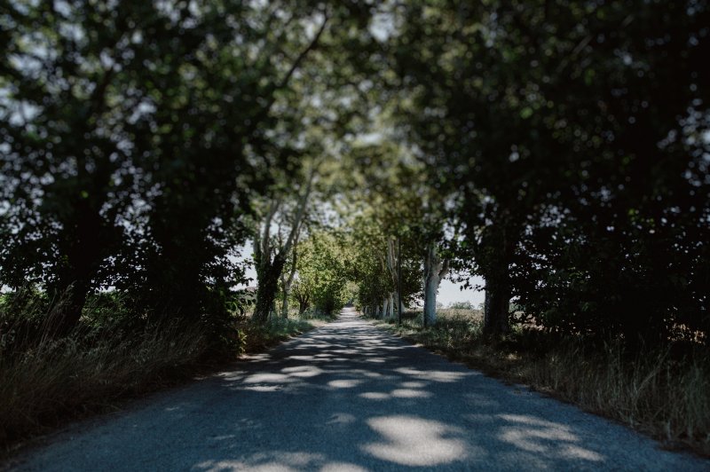 Domaine Belric - photo 2
