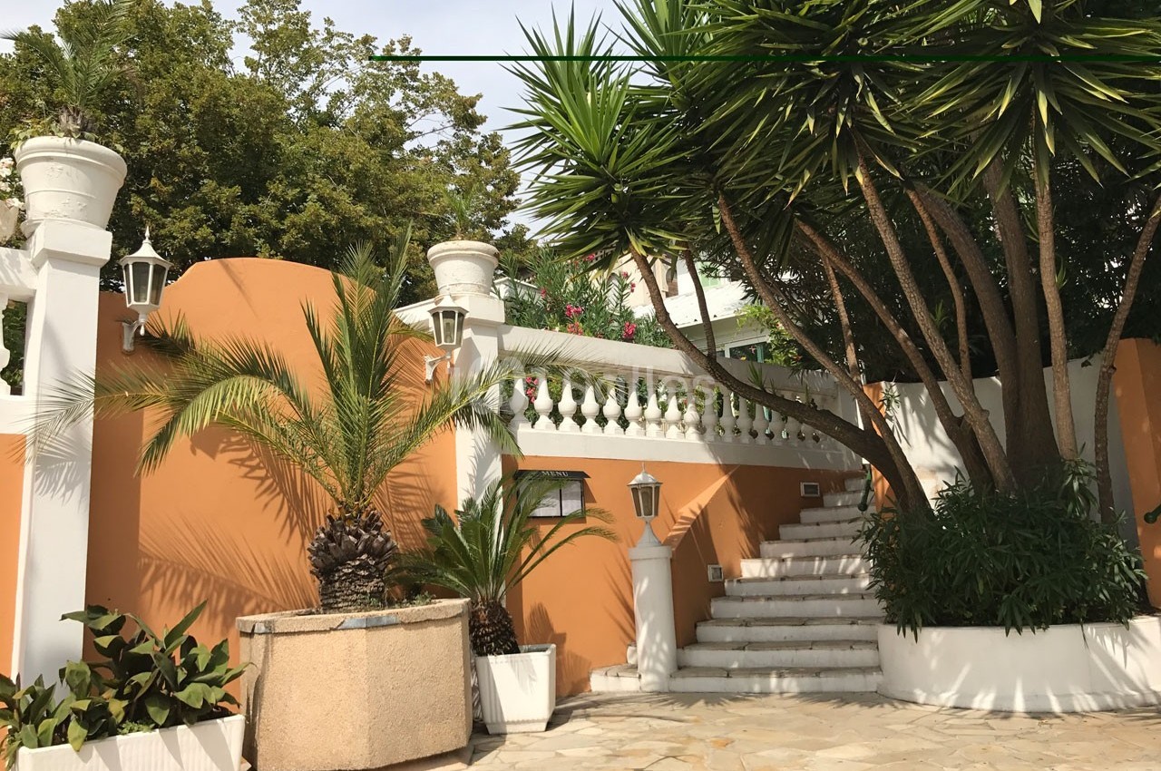 Escalier extérieur blanc entouré de murs orange, plantes tropicales et arbres dans un jardin ensoleillé.