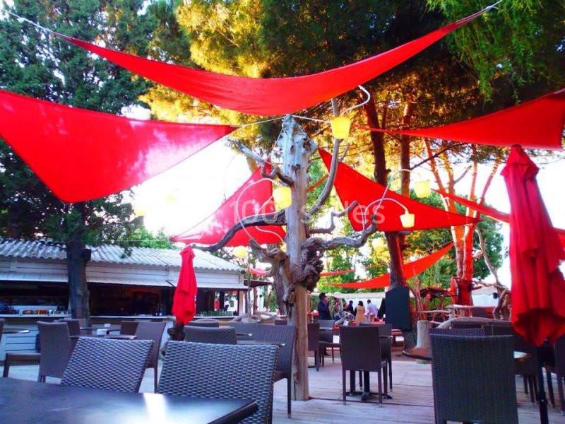Côté Jardin - galerie - photo 15