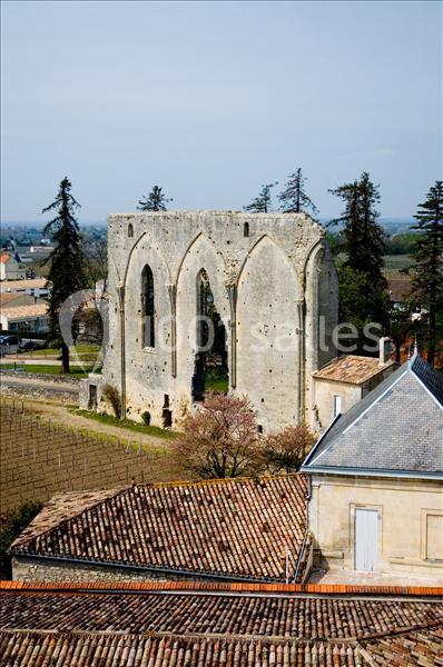 Château La Couspaude - galerie - photo 13
