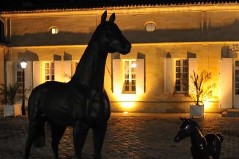Château La Couspaude - photo 2