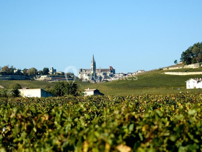 Château La Couspaude - galerie - photo 9