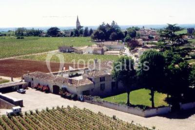 Château La Couspaude - photo 5