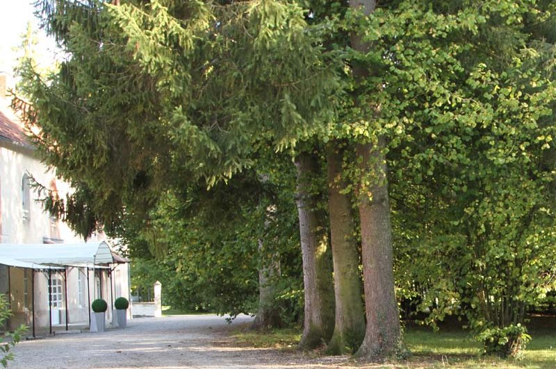 La Sellerie Du Château - photo 2
