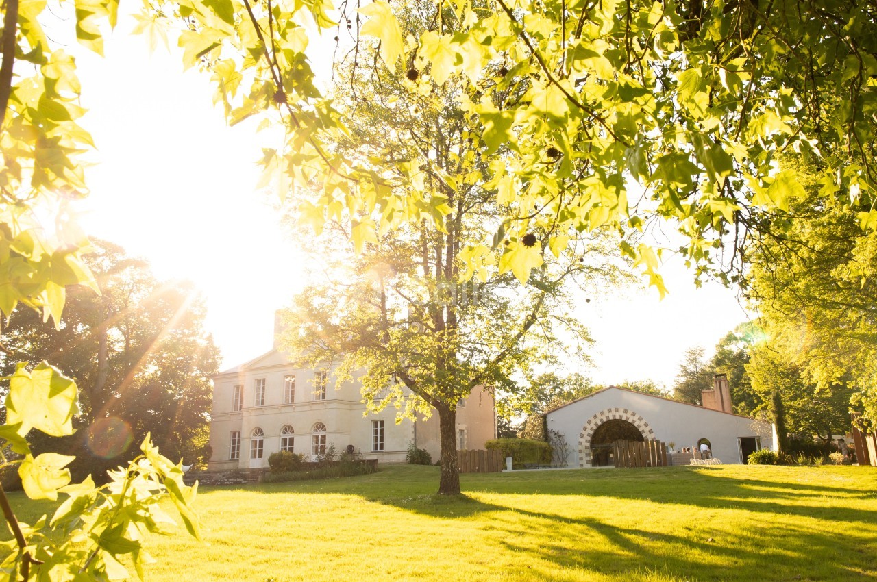 Chateau De La Rairie - galerie - photo 13