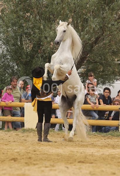 Domaine de l'Estancia - galerie - photo 19