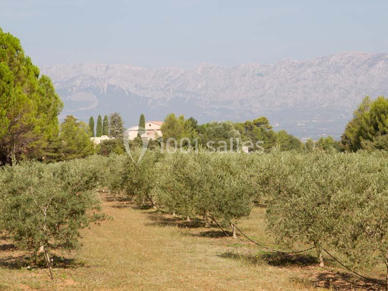 Domaine De La Pomme - galerie - photo 18