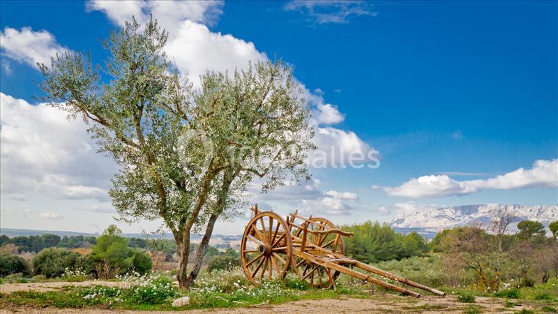 Domaine De La Pomme - galerie - photo 20