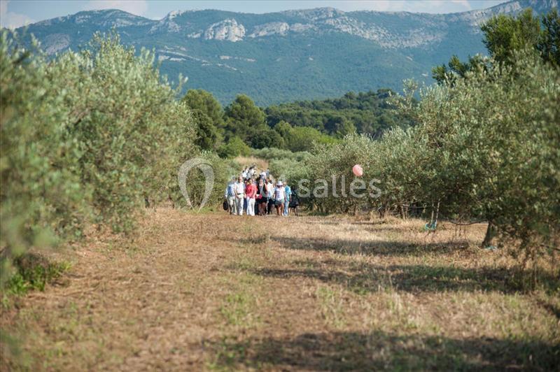 Domaine De La Pomme - galerie - photo 21