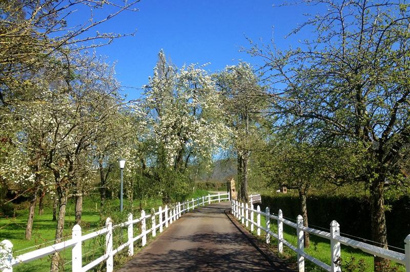 Le Moulin du Vey - photo 2