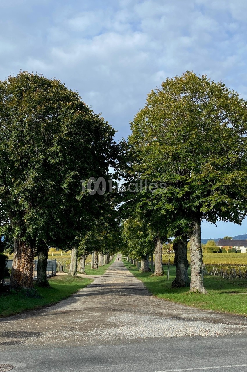 Allée bordée d'arbres menant à l'horizon, entourée de champs et sous un ciel partiellement nuageux.