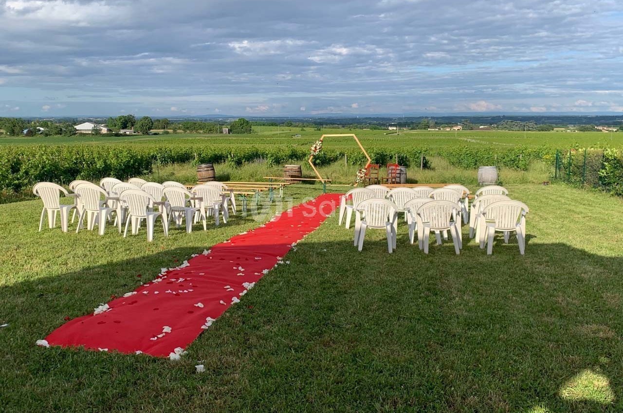 Chaises blanches disposées en extérieur autour d'une allée rouge, avec vue sur des vignes et un ciel dégagé.