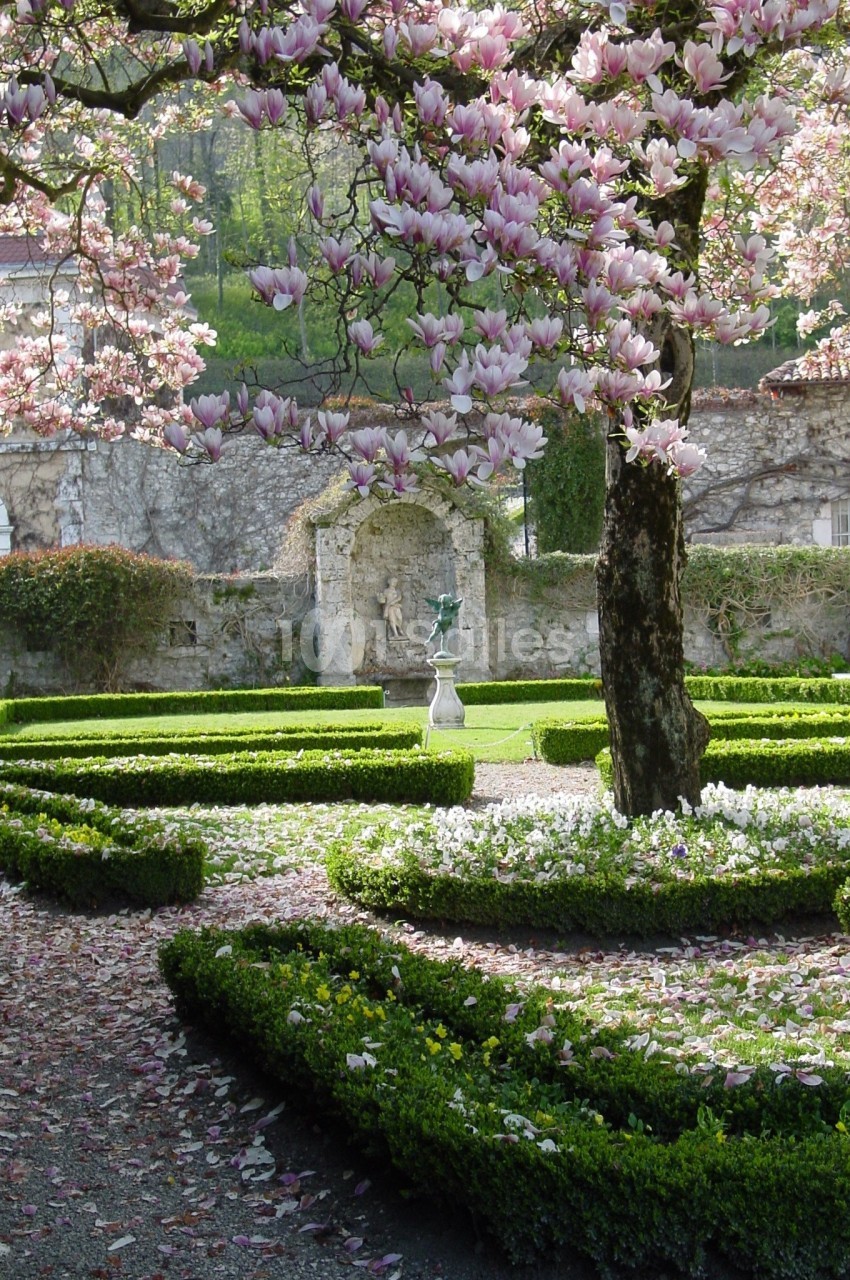 Jardin avec parterres de buis, arbre en fleurs roses et statue au centre, entouré de murs en pierre.