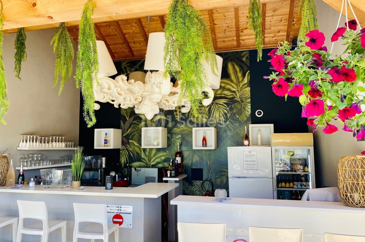 Intérieur d'un bar lumineux avec comptoir blanc, plantes suspendues, décor tropical et étagères avec bouteilles.