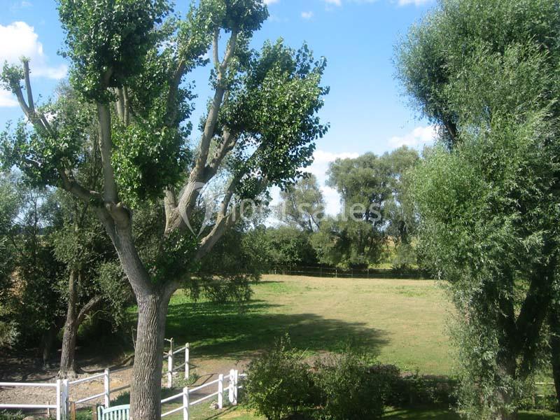 Domaine Du Haut Ballot - galerie - photo 6