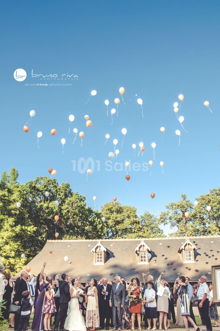 Un groupe de personnes regarde des ballons colorés s'envoler dans le ciel devant un bâtiment avec un toit en ardoise.
