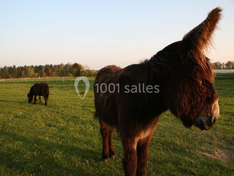 La Ferme Du Forsdoff - galerie - photo 16
