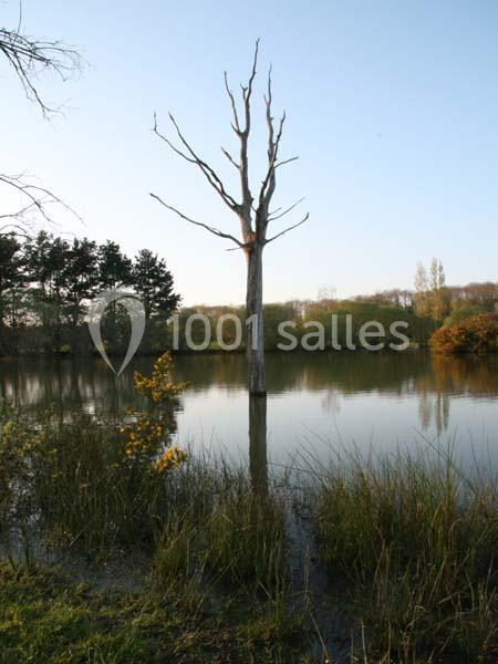 La Ferme Du Forsdoff - galerie - photo 17