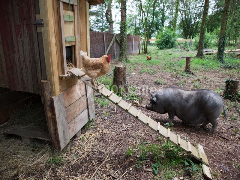 La Ferme Du Forsdoff - galerie - photo 18